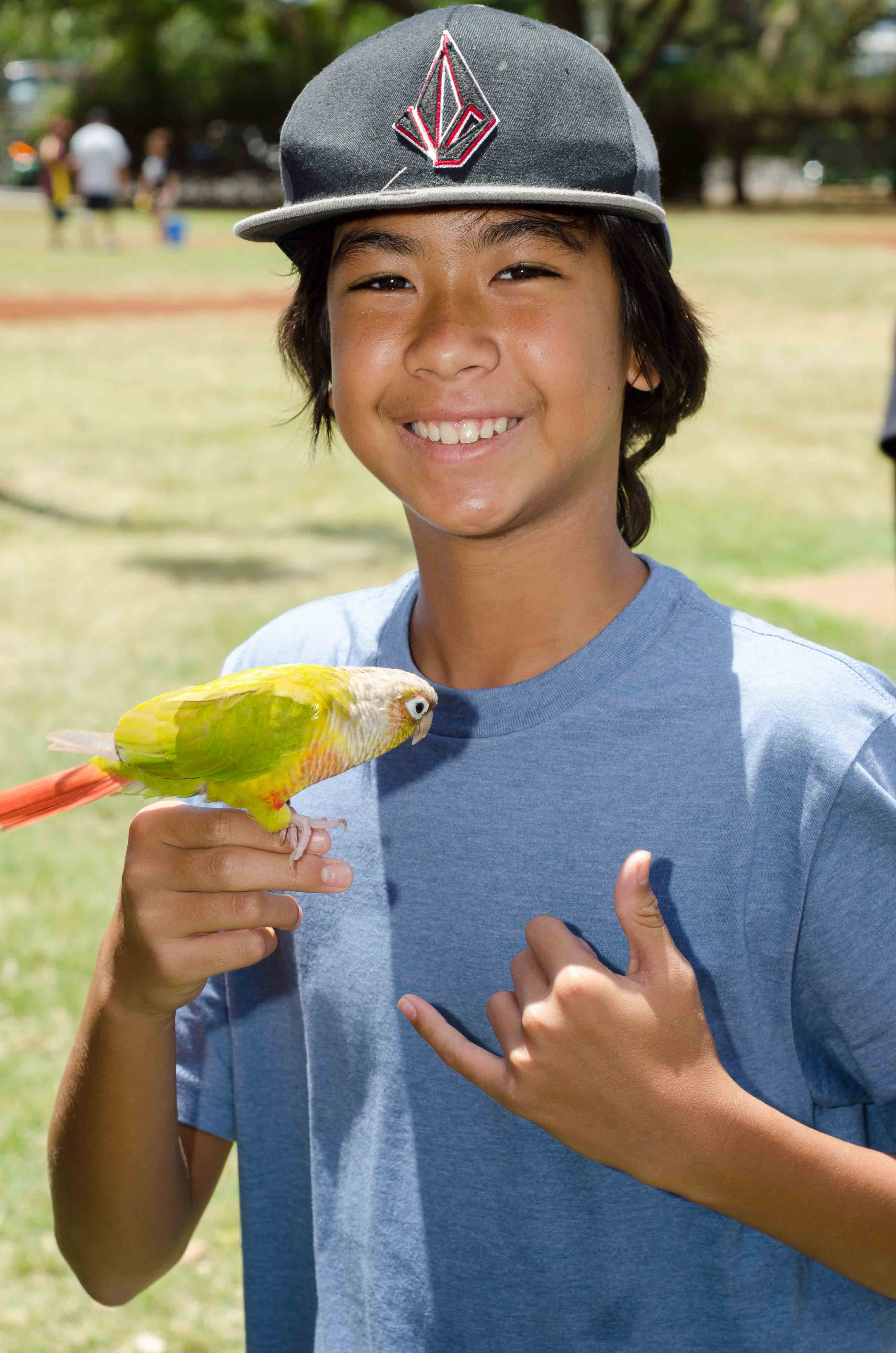 Green Cheek Conure — HFFN member's bird at April 2015 gathering