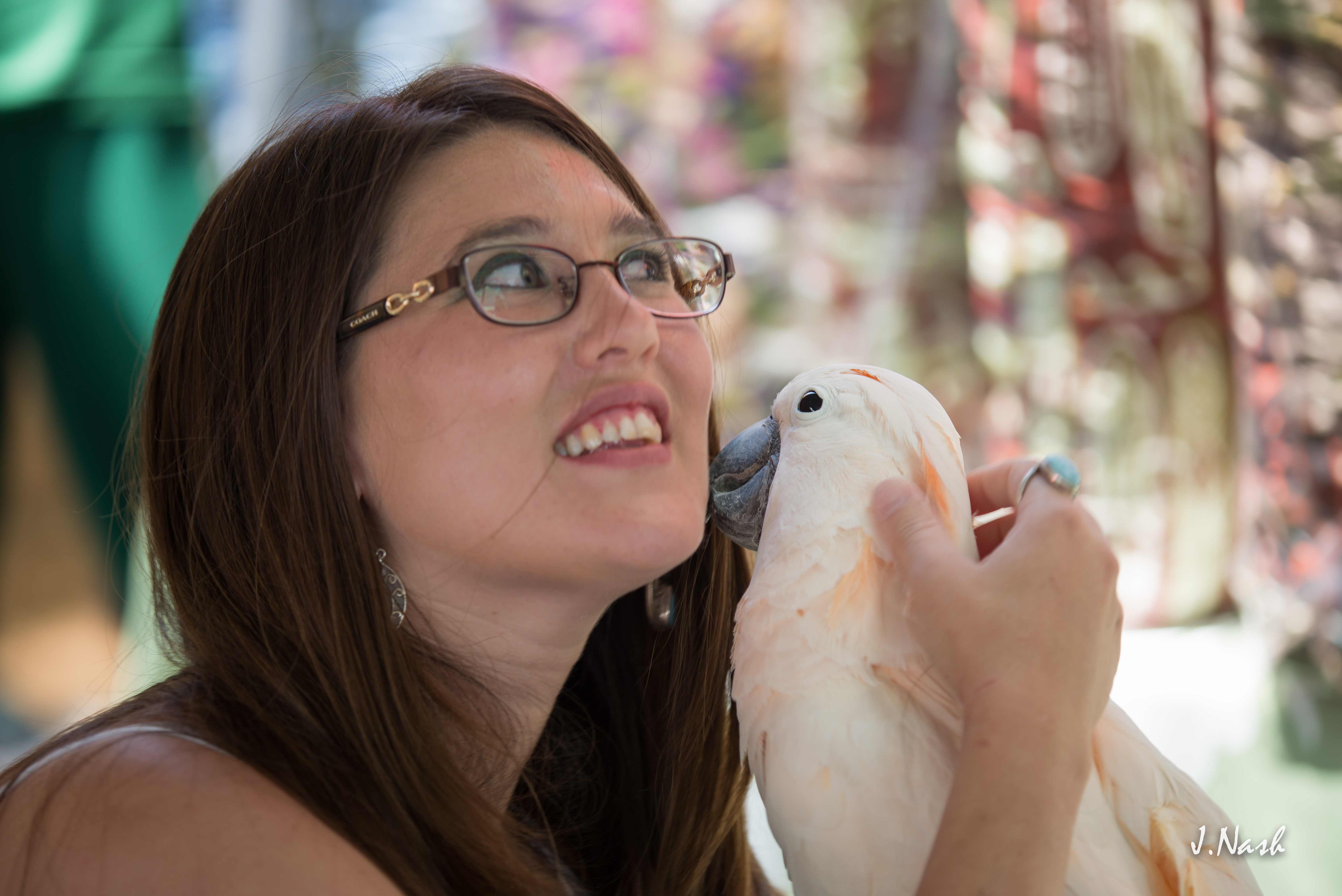 Members and their cockatoos at HFFN April 2015 event