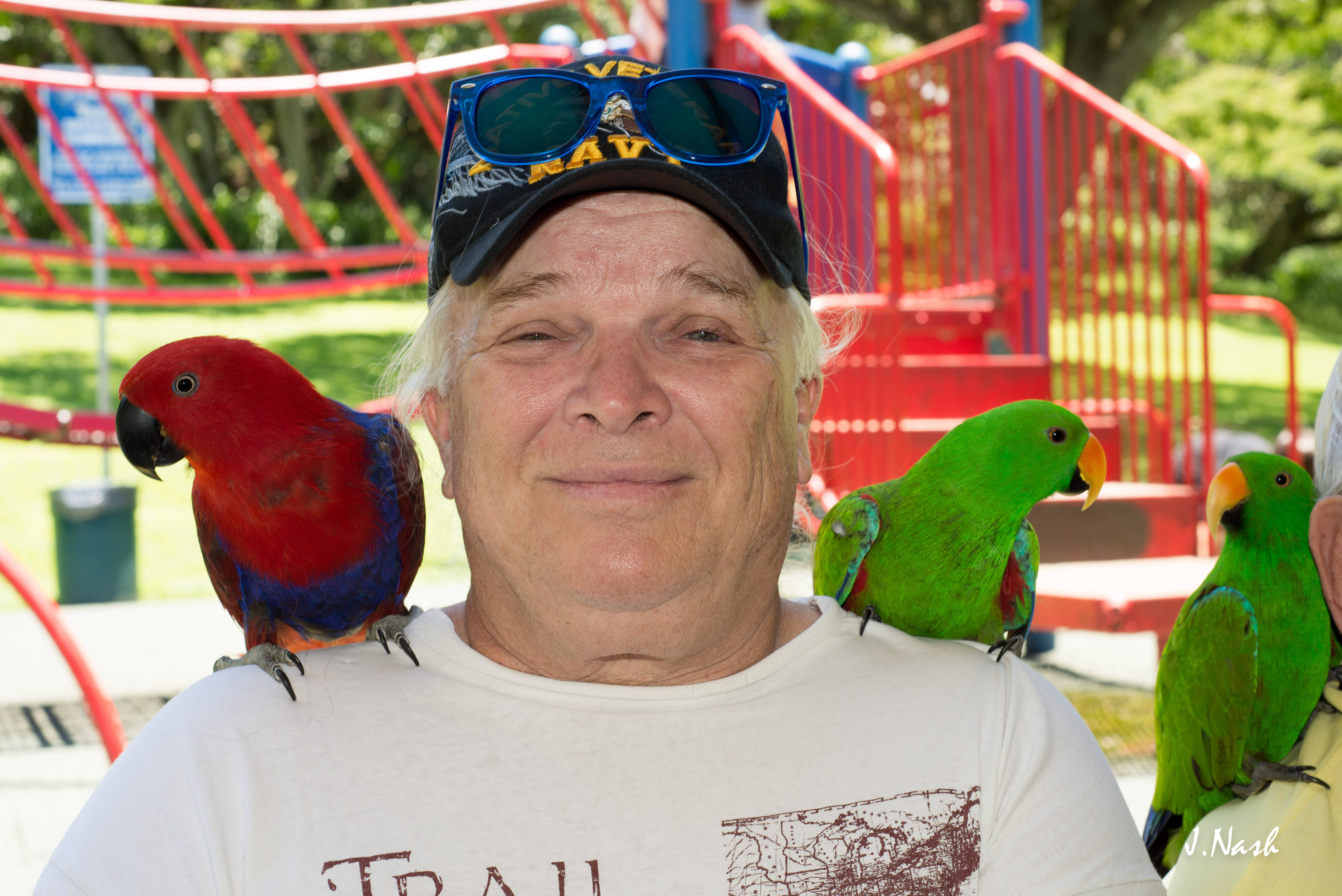 Two male Eclectus and one female at an HFFN July 2015 gathering on Oʻahu