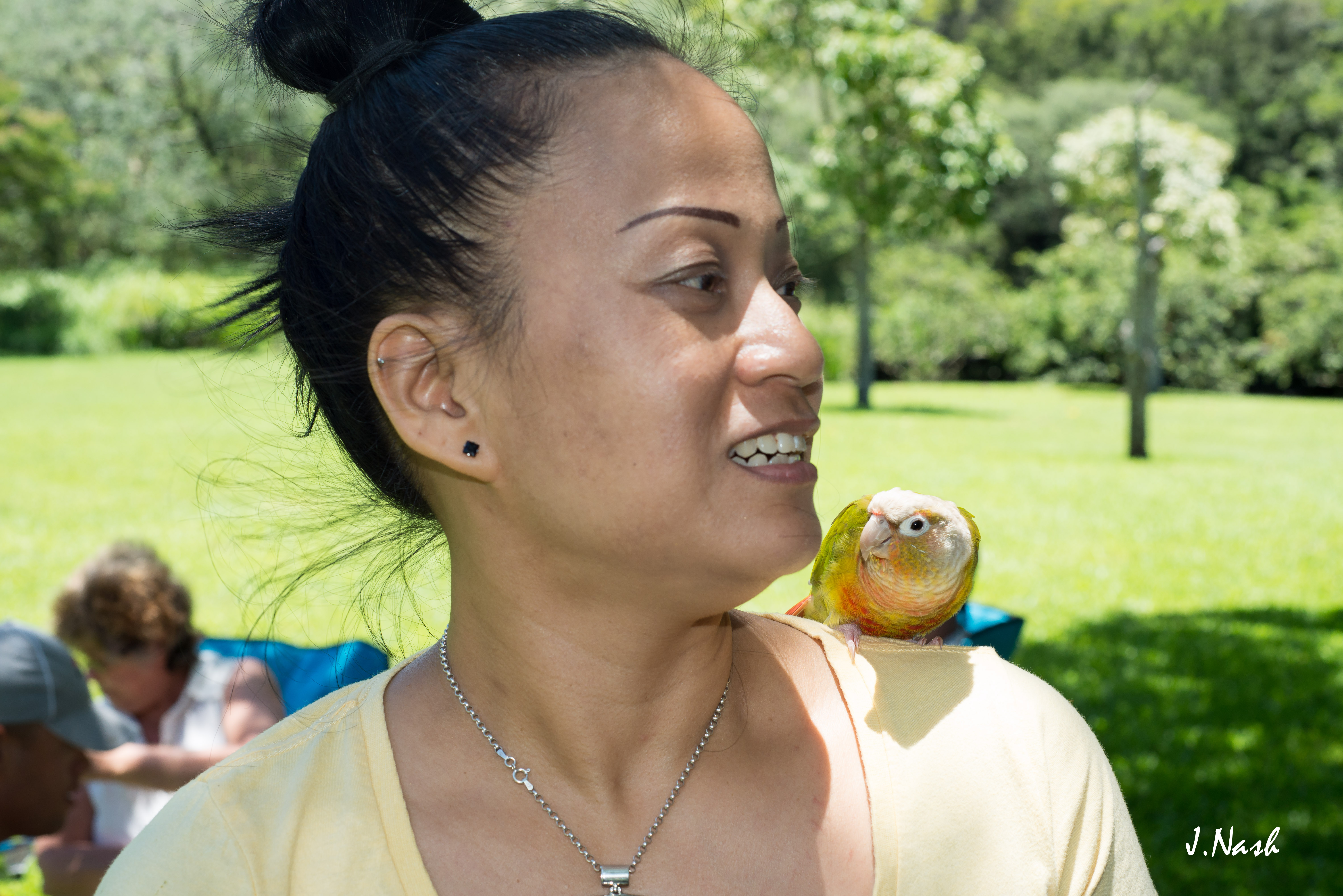 Green Cheek Conure — HFFN member's bird at July 2015 gathering