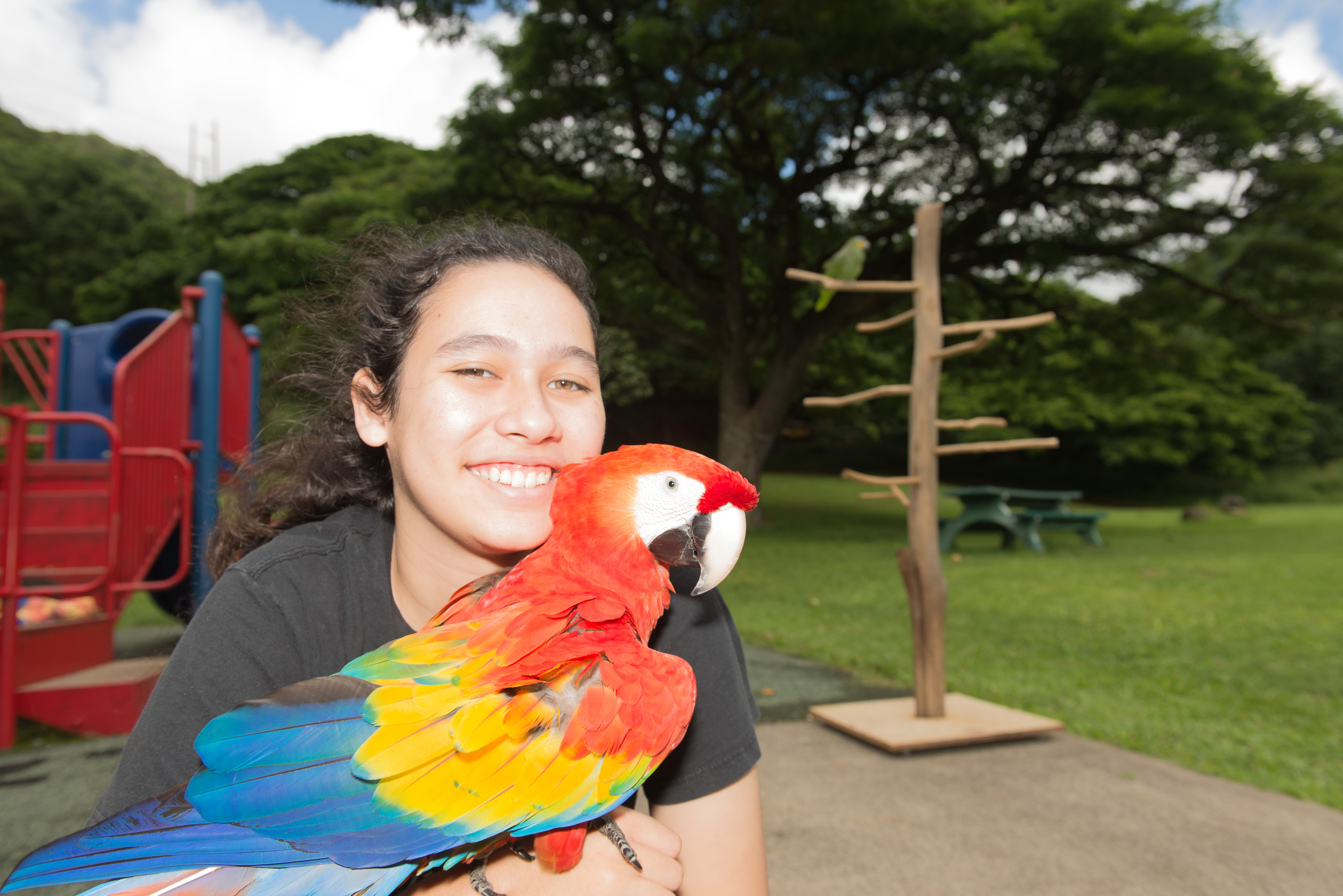 Parrots at HFFN event on tree stands