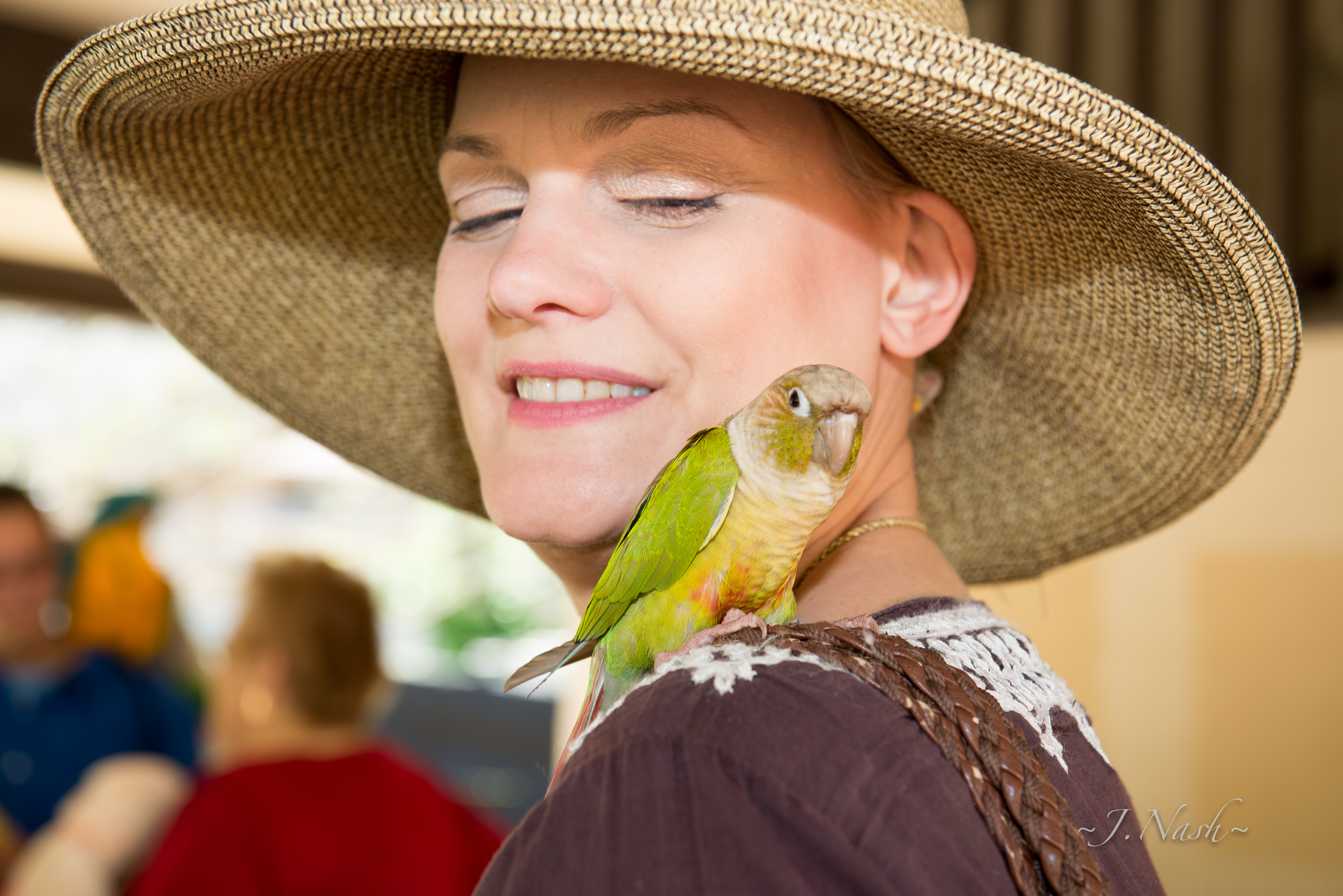 Green Cheek Conure — HFFN member's bird on Oʻahu