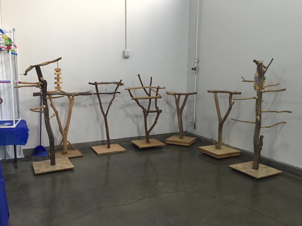 HFFN handcrafted parrot tree stand