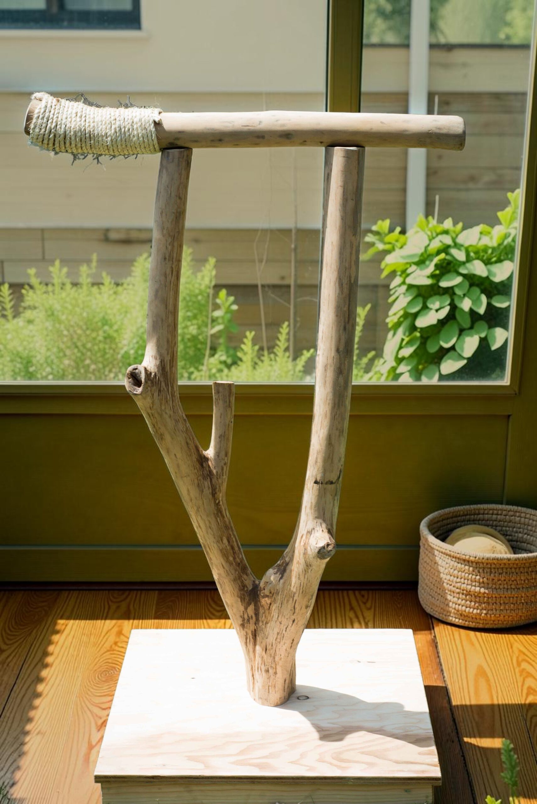 HFFN handcrafted parrot tree stand — wide view
