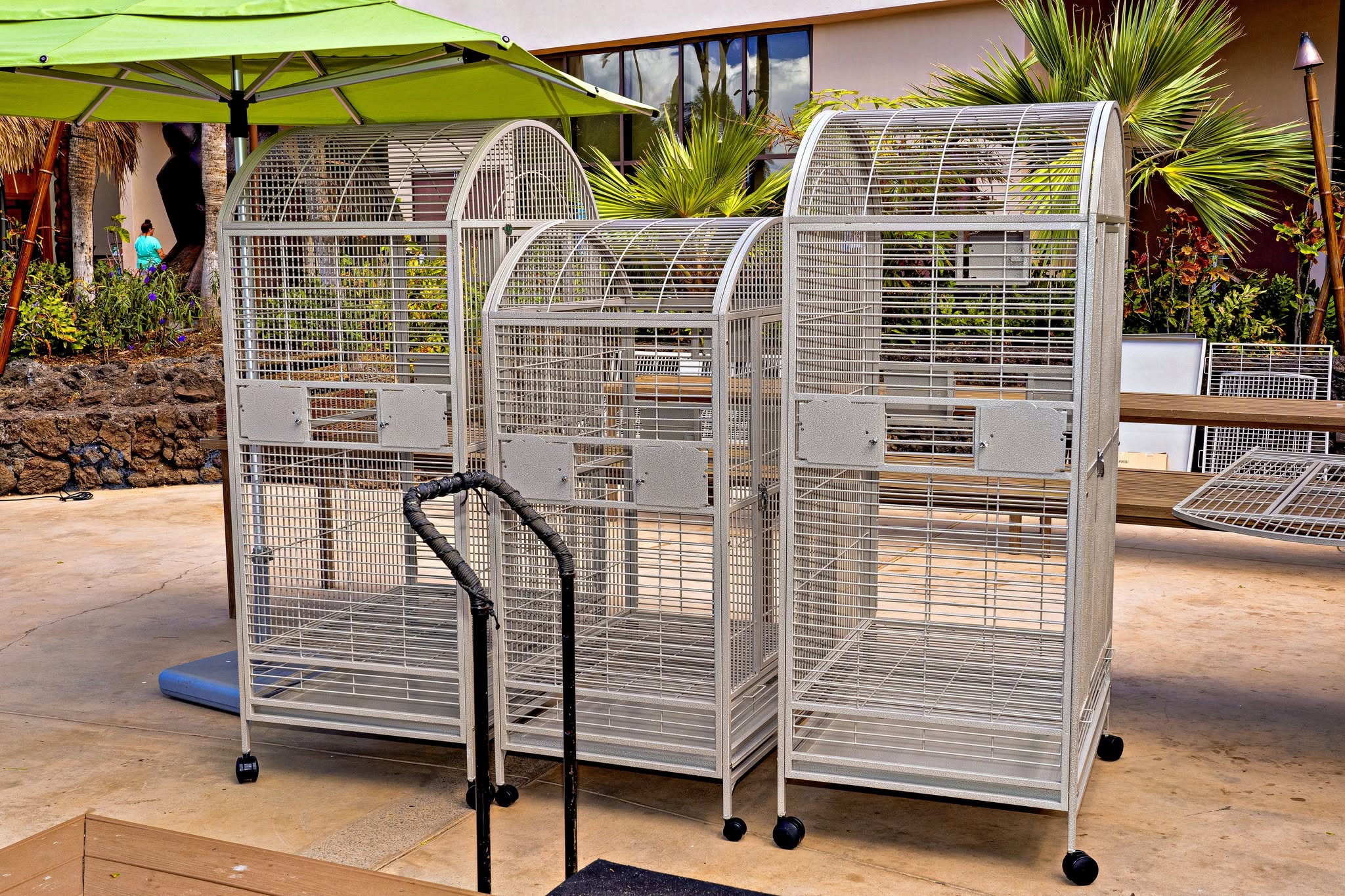 Newly assembled large bird cages ready for the Maui wildfire displaced birds — donated through the HFFN and AFA Disaster Relief coalition