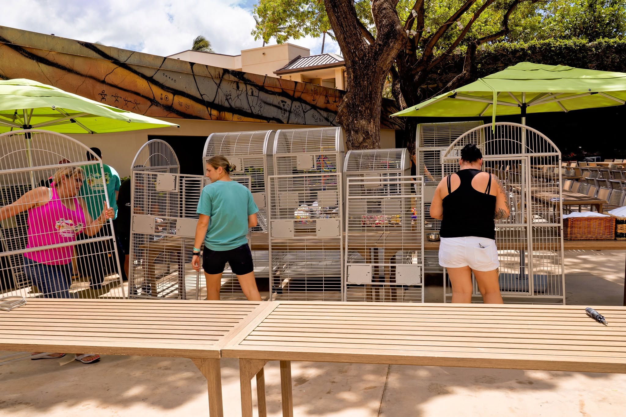 HFFN volunteers and helpers assembling donated cages at the Hyatt Regency Kaanapali during the Maui wildfire relief effort